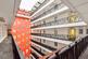 Additional image 2 of Sauchiehall Street, Charing Cross, Glasgow City