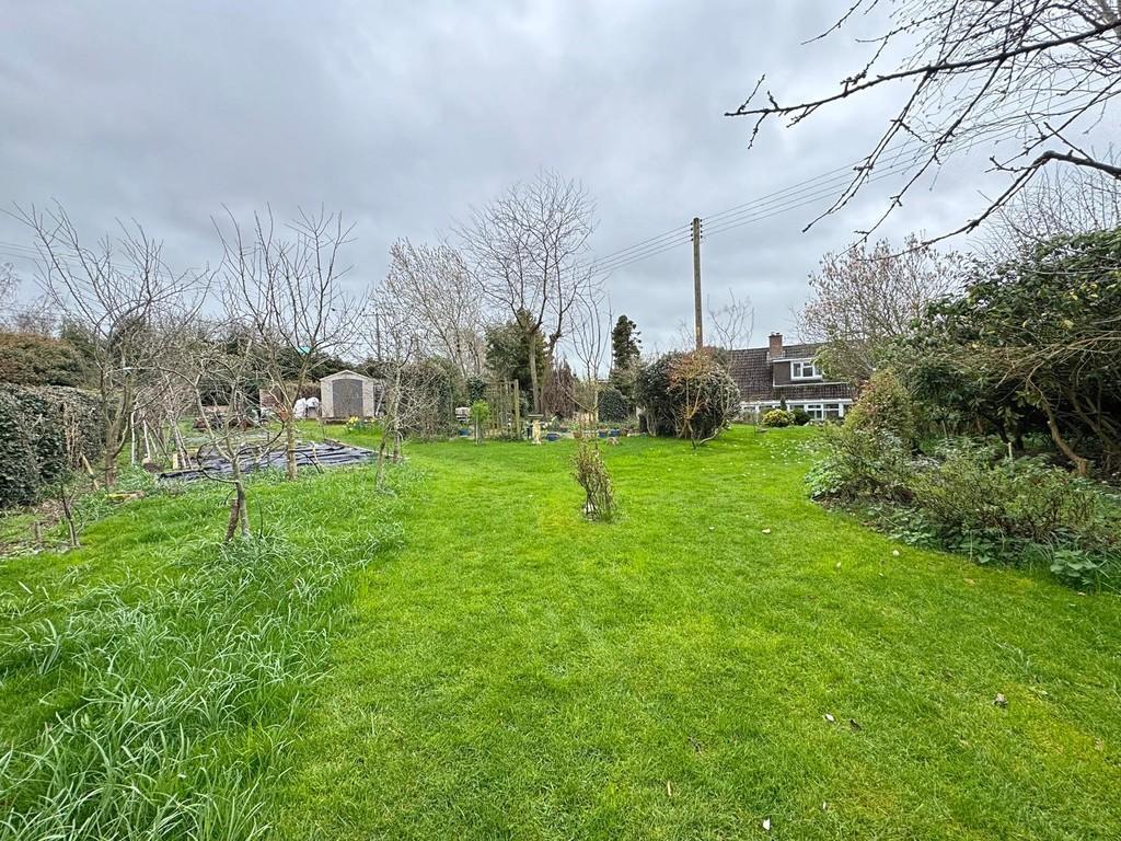 Rear garden