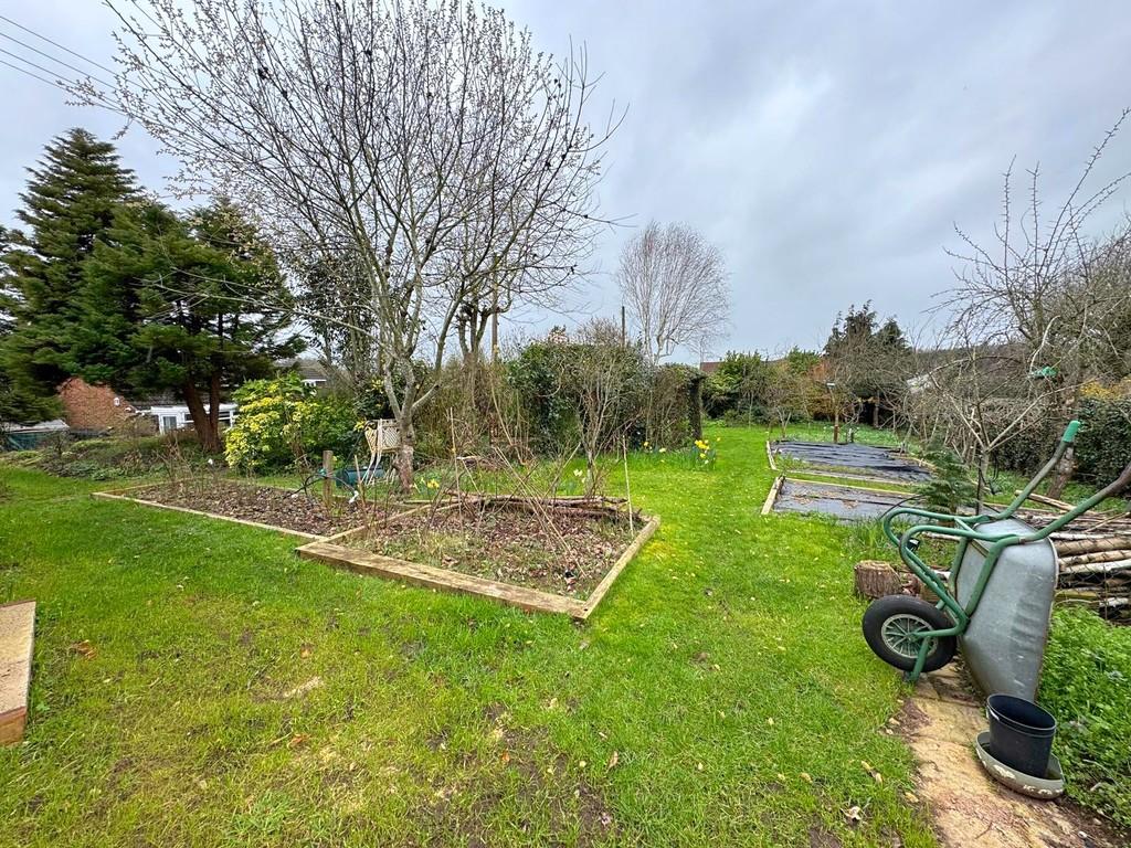 Veg plot