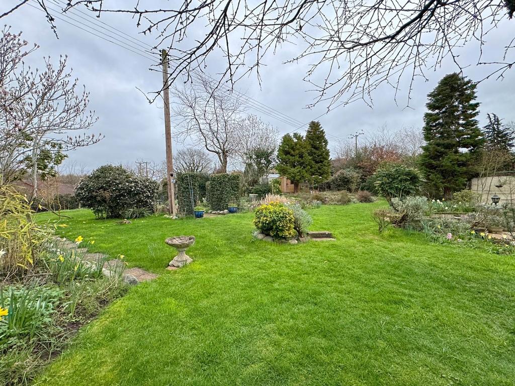 Rear garden angle