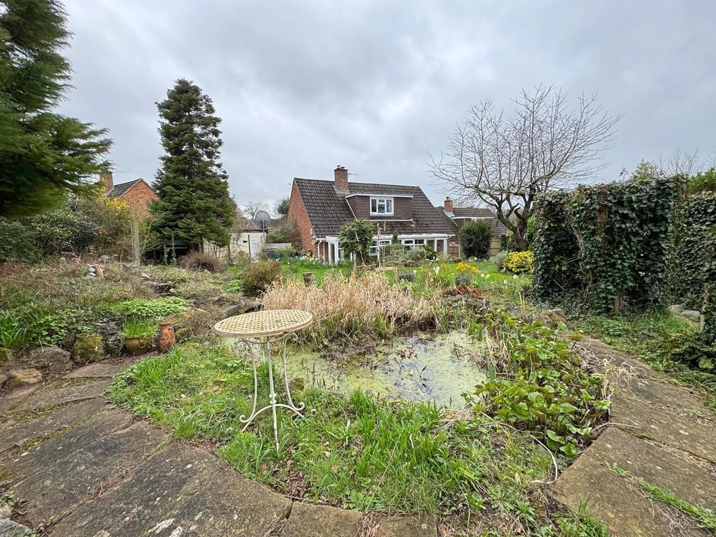 Feature pond area