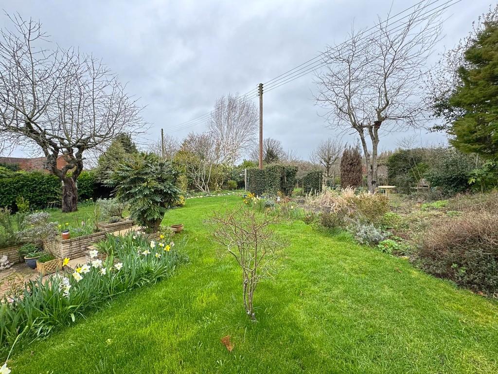 Rear garden from side