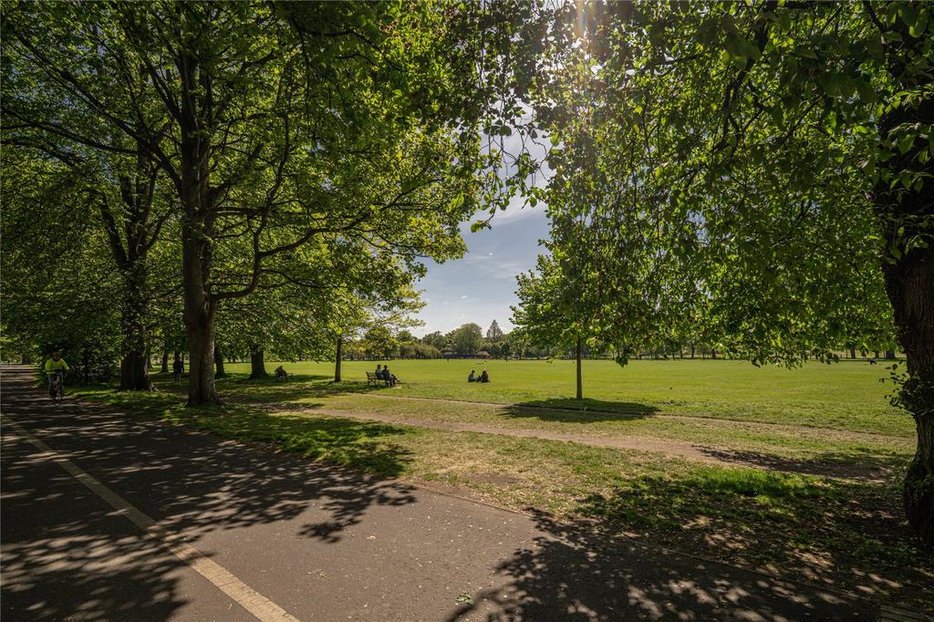 The Meadows