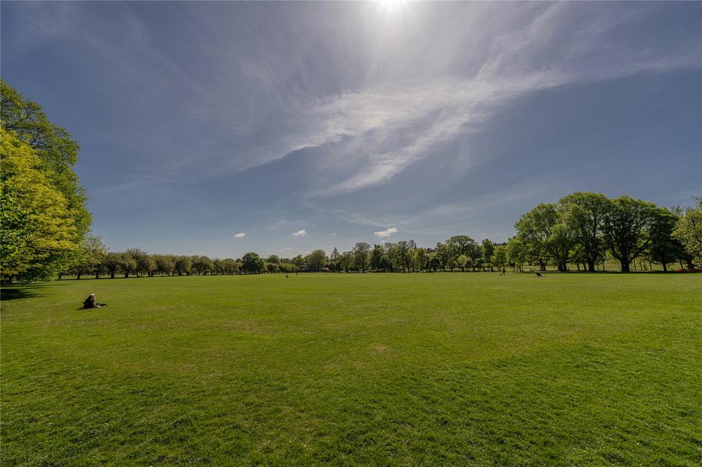 The Meadows Alt