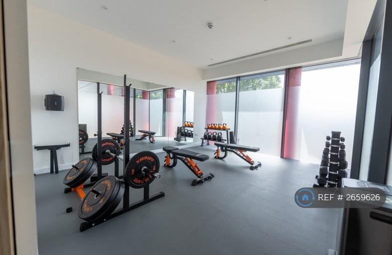 Gym 3