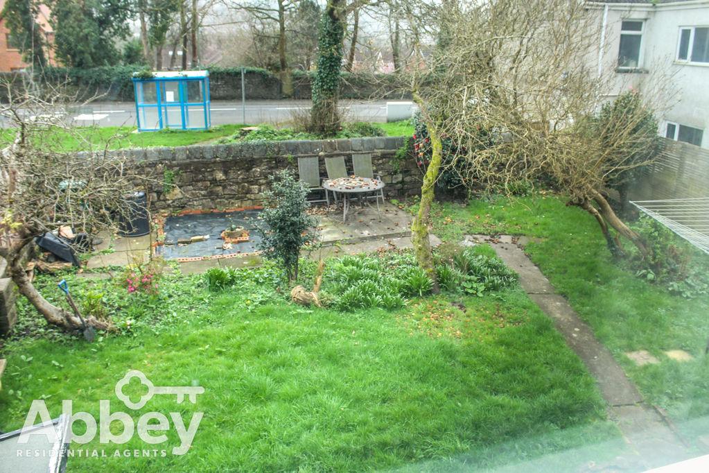 View of the garden