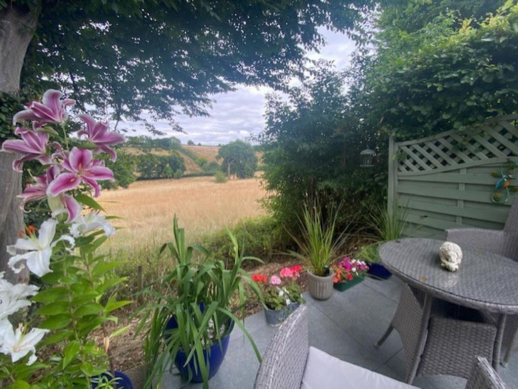 Garden 2
