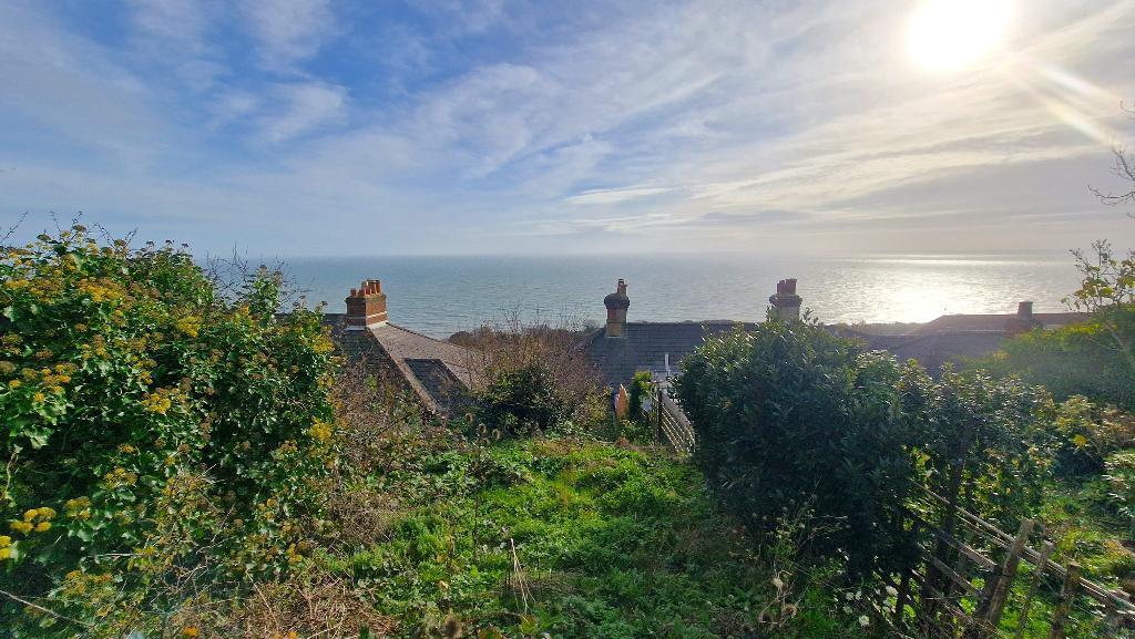 View from Garden