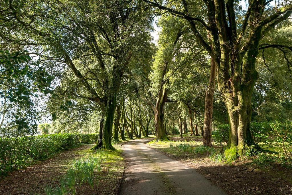 Estate Driveway.