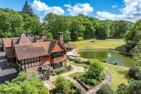 undefined, Durford Wood, Petersfield, Hampshire, GU31