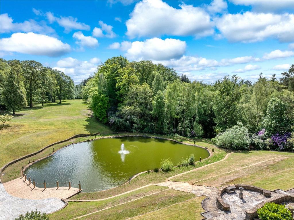 Pond