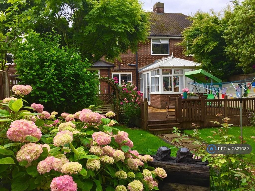 Garden In Summer