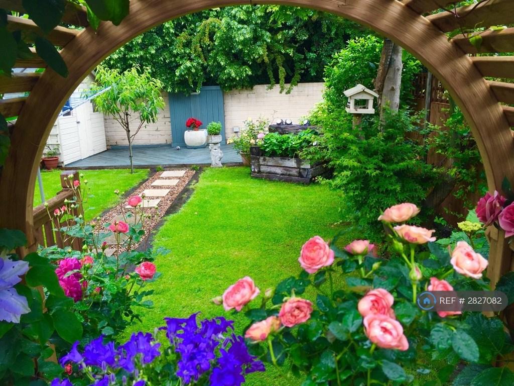 Garden In Summer