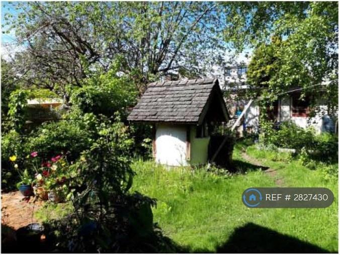 Back Garden