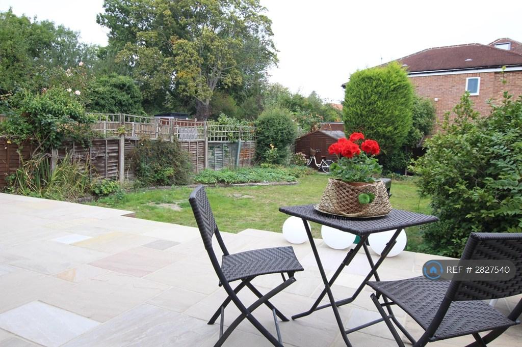 Patio And Garden