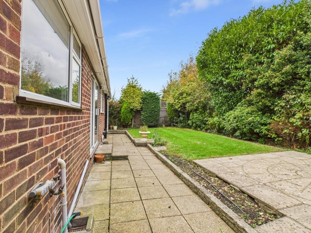 Back Garden