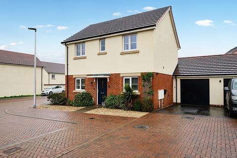 3 bedroom detached house for sale - Speckled Wood Court, Barnstaple EX31