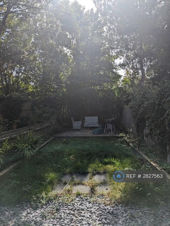 Back Garden