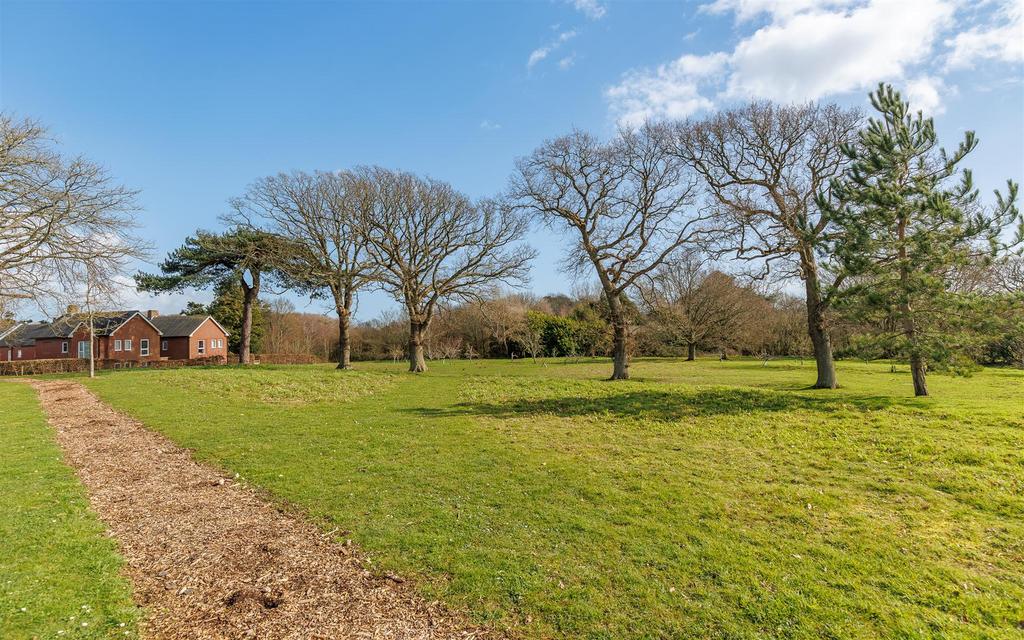 Open Woodland Views