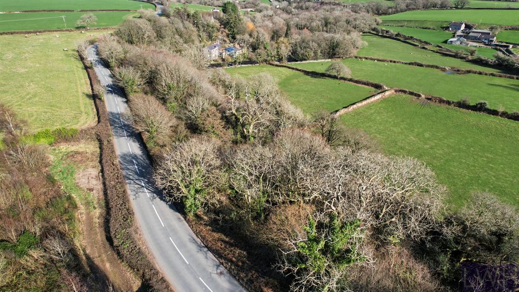 Woodland off Llanberis Rd