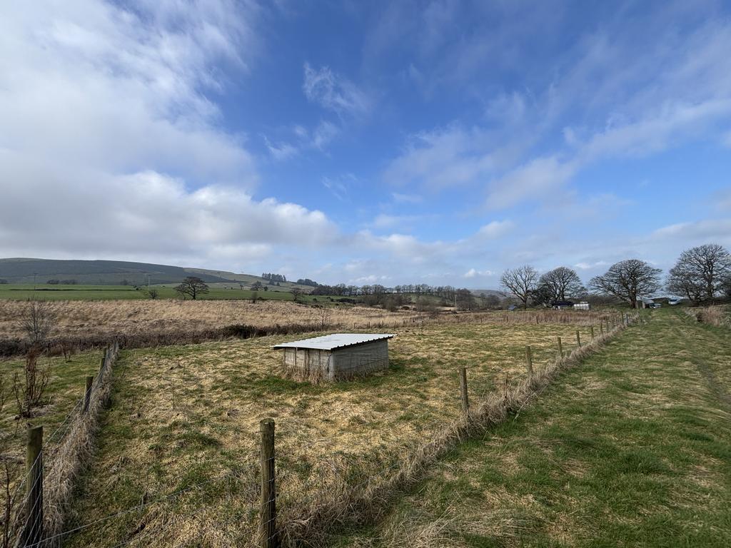 Paddocks