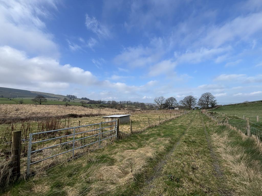 Paddocks (second image)