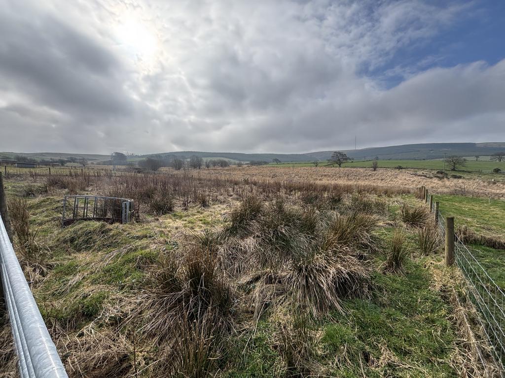 Paddocks (third image)