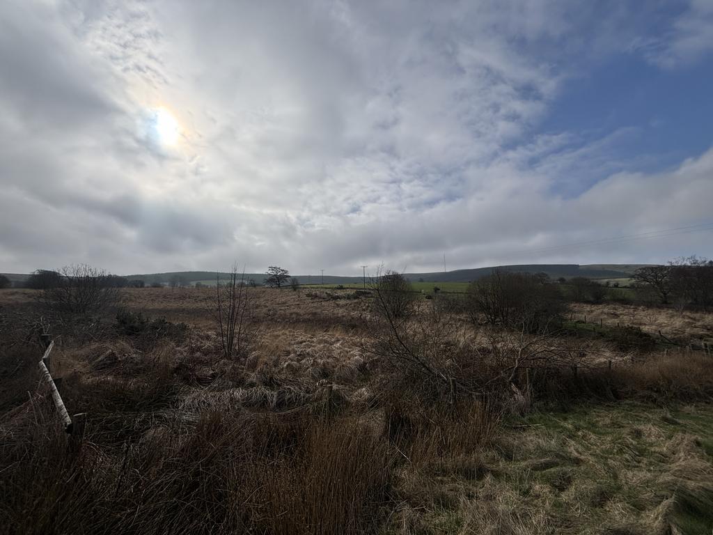 The land (first image)