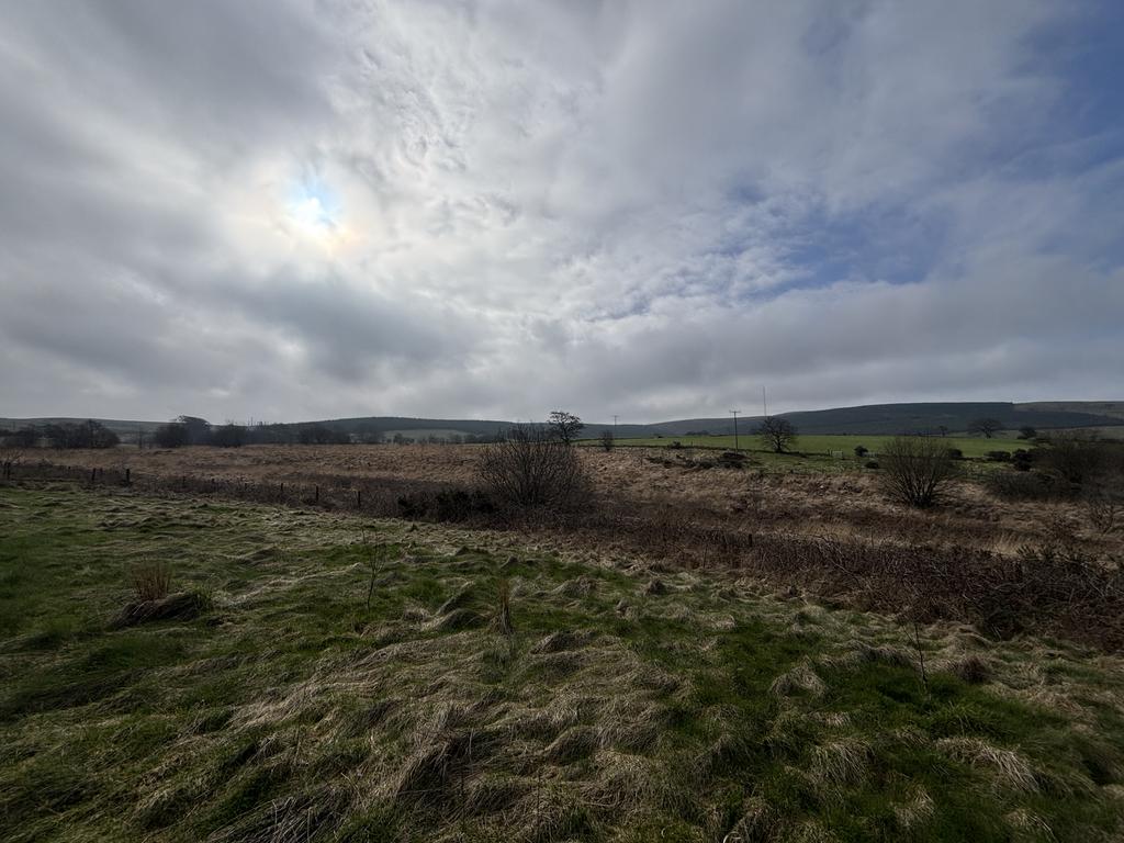 The land (second image)