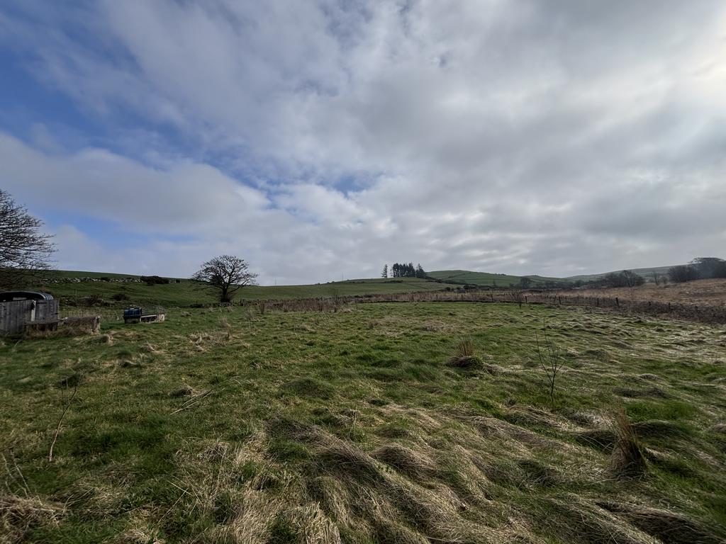 The land (third image)