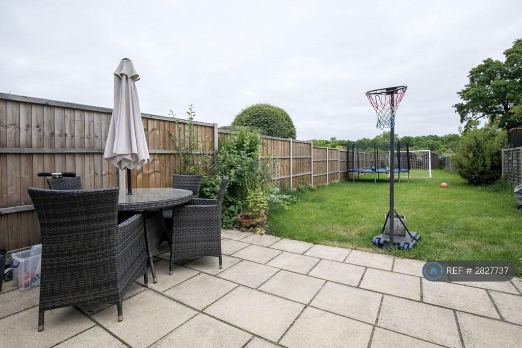 Patio & Garden
