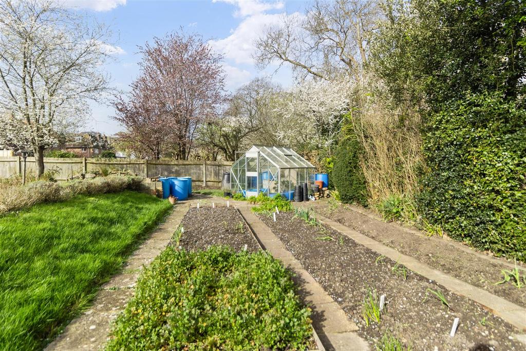 Rear Garden Vegetable