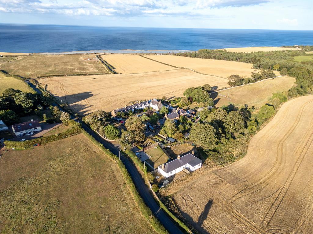 Aerial Image