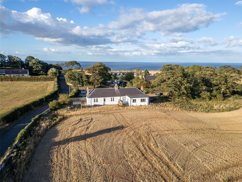 Aerial Image
