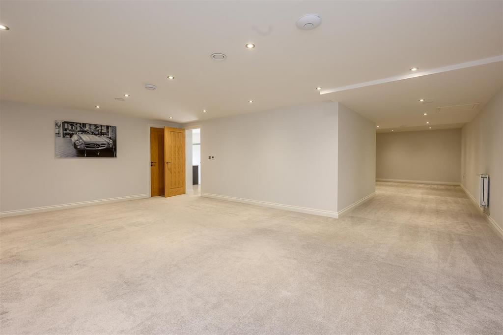 Entertainment Room