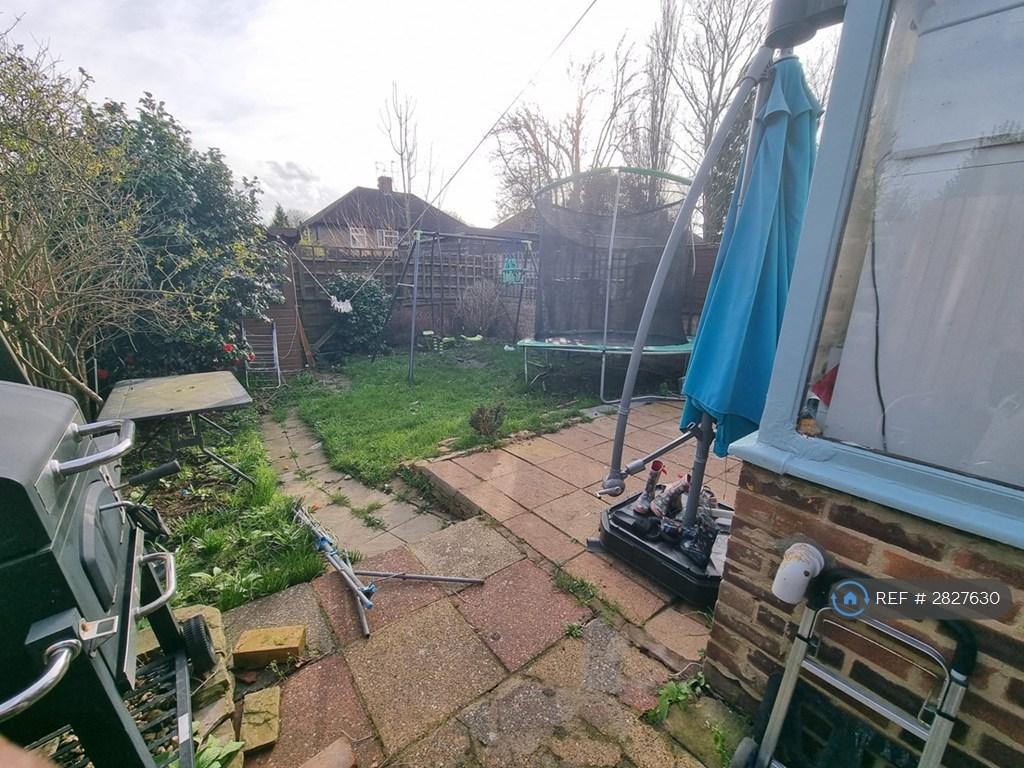 Back Garden