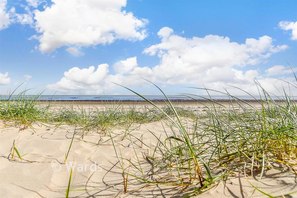 Surrounding Area