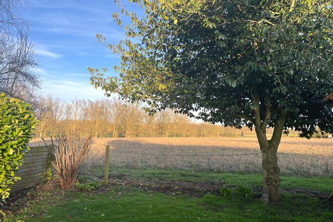 Field Views