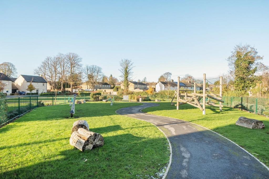 Local park.jpg