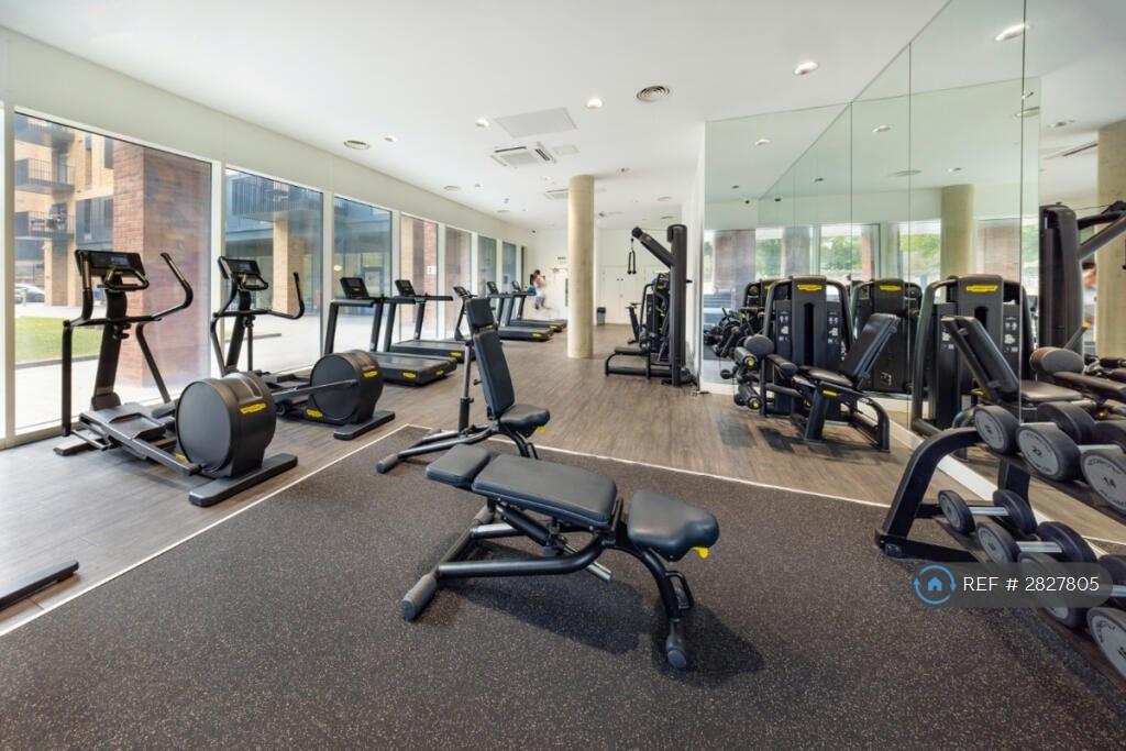 Gym Free To Use