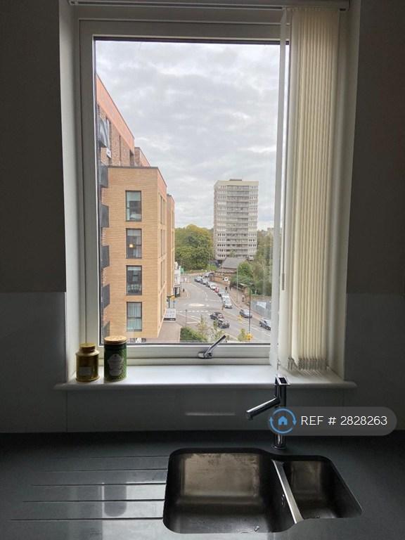 View From Kitchen