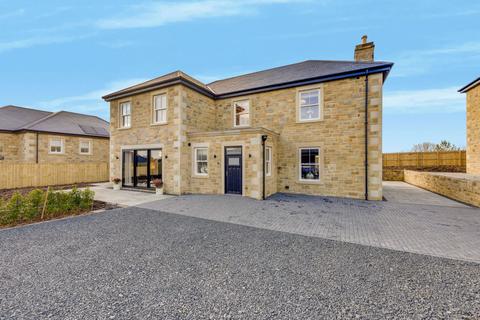 undefined, Butley Meadows, Morpeth NE61