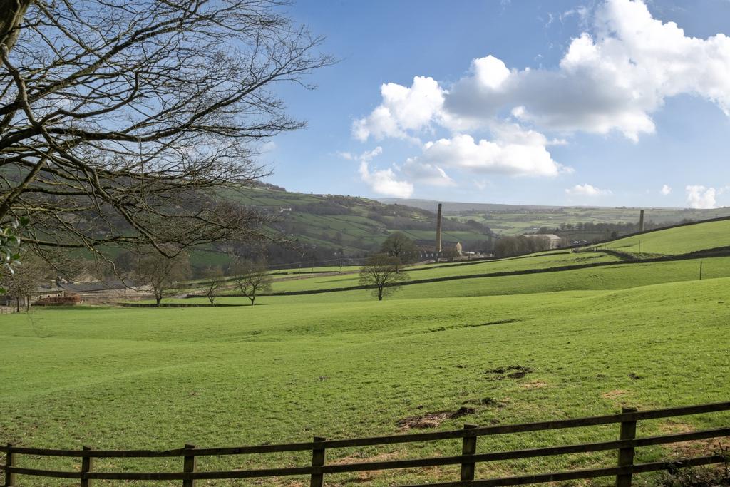 Grounds