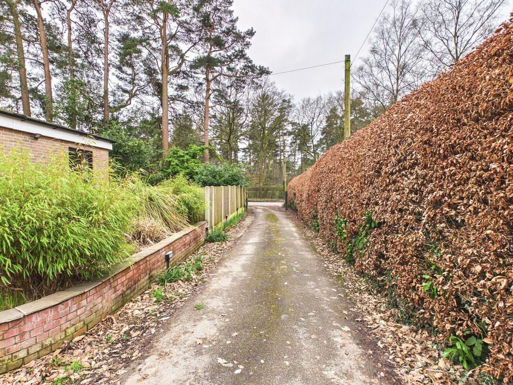 Driveway