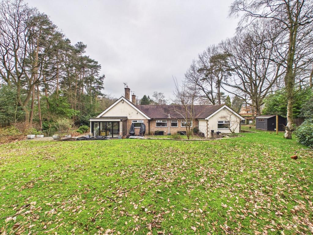 Garden &amp; bungalow