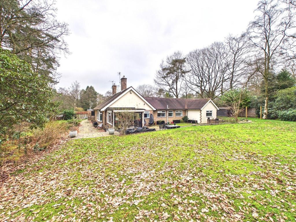 Garden &amp; bungalow