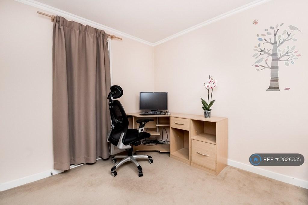 Study Area