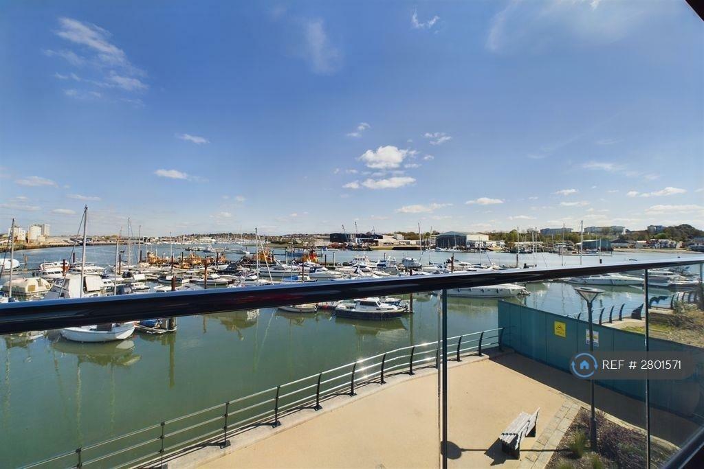 View From Patio