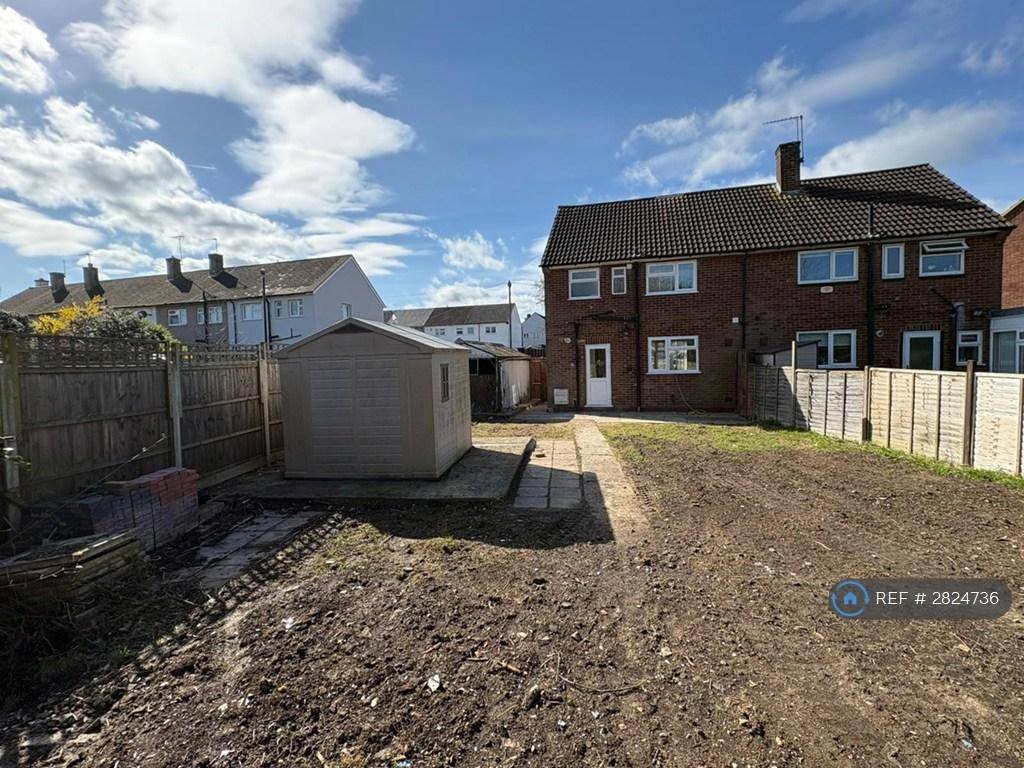 Back Garden