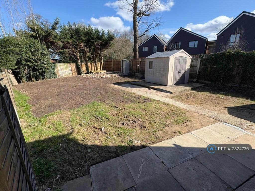 Back Garden